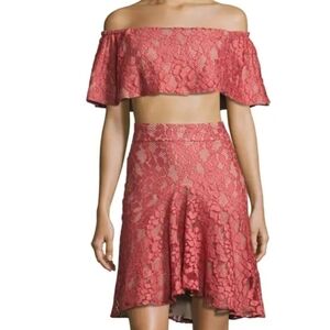 Alexis Pink Lace Taza Crop Top & Braxten Skirt XS-S